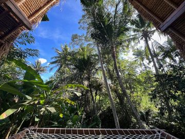 Jungle Views & Airbnb Potential: Modern Leasehold Villa in Ubud
