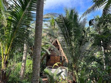 Jungle Views & Airbnb Potential: Modern Leasehold Villa in Ubud