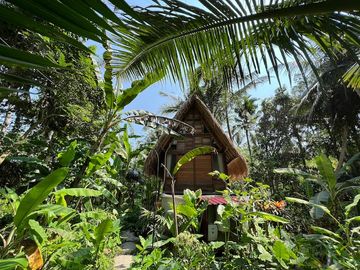 Jungle Views & Airbnb Potential: Modern Leasehold Villa in Ubud