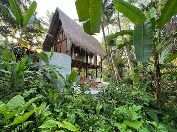 Jungle Views & Airbnb Potential: Modern Leasehold Villa in Ubud