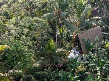 Jungle Views & Airbnb Potential: Modern Leasehold Villa in Ubud