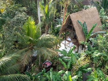 Jungle Views & Airbnb Potential: Modern Leasehold Villa in Ubud