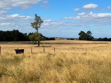 Campo en Purranque con impactante vista, Alto Palomar - Región de Los Lagos