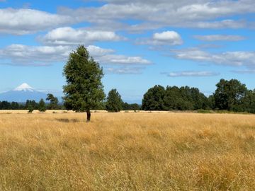 Campo en Purranque con impactante vista, Alto Palomar - Región de Los Lagos