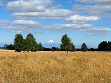 Campo en Purranque con impactante vista, Alto Palomar - Región de Los Lagos