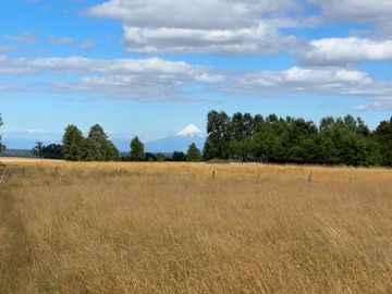 Campo en Purranque con impactante vista, Alto Palomar - Región de Los Lagos
