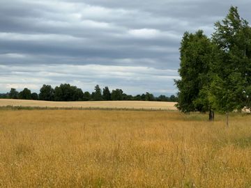 Campo en Purranque con impactante vista, Alto Palomar - Región de Los Lagos