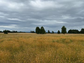 Campo en Purranque con impactante vista, Alto Palomar - Región de Los Lagos