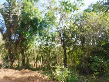 EASTWEST BREEZE LEISURE FARM LOT FOR SALE
