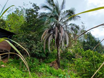 Casa de campo de venta en Paute sector Parroquia Chican