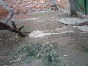 CASA CON CESION DE DERECHOS EN CALLE 23 DE MARZO, COLONIA LUIS DONALDO COLOSIO, POBLADO DE LA CAL, SALAMANCA GTO