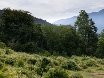 Loteo Lago Riñihue