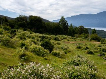 Loteo Lago Riñihue