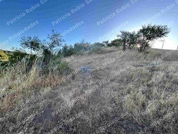 SE VENDE PARCELA DE AGRADO DE 5000M2  CAMINO PUERTAS NEGRAS  ORIENTE-SUR DE TALCA