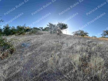 SE VENDE PARCELA DE AGRADO DE 5000M2  CAMINO PUERTAS NEGRAS  ORIENTE-SUR DE TALCA