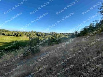 SE VENDE PARCELA DE AGRADO DE 5000M2  CAMINO PUERTAS NEGRAS  ORIENTE-SUR DE TALCA
