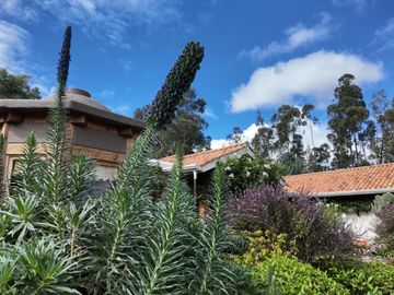 🌟¡En venta elegante casa en un entorno natural privilegiado!🌟
