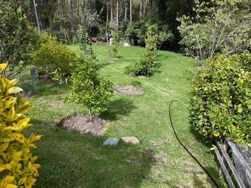 🌟¡En venta elegante casa en un entorno natural privilegiado!🌟