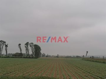 Venta De Terreno Agricola En Quilmana Imperial Ocasion!!!
