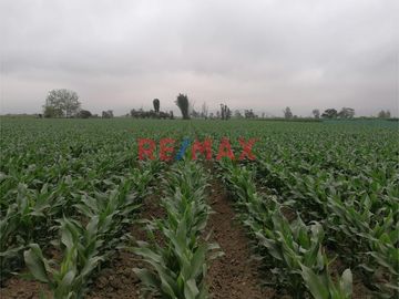 Venta De Terreno Agricola En Quilmana Imperial Ocasion!!!