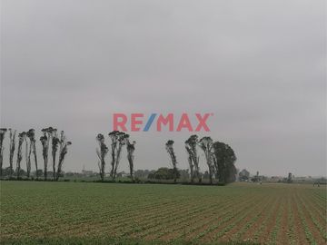 Venta De Terreno Agricola En Quilmana Imperial Ocasion!!!
