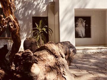 Casa en renta Hacienda Jajalpa, Ocoyoacac, Estado de México