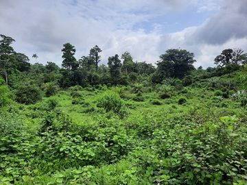 SE VENDE HACIENDA AGRICOLA EN PRODUCCIÓN 200 HAS. Y MINA DE MATERRIAL PETREO DE RÍO,  MALIMPIA – QUININDÉ – ESMERALDAS - ECUADOR