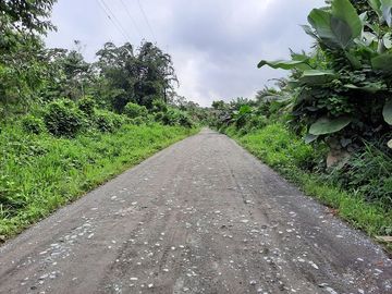 SE VENDE HACIENDA AGRICOLA EN PRODUCCIÓN 200 HAS. Y MINA DE MATERRIAL PETREO DE RÍO,  MALIMPIA – QUININDÉ – ESMERALDAS - ECUADOR