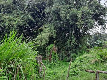 SE VENDE HACIENDA AGRICOLA EN PRODUCCIÓN 200 HAS. Y MINA DE MATERRIAL PETREO DE RÍO,  MALIMPIA – QUININDÉ – ESMERALDAS - ECUADOR