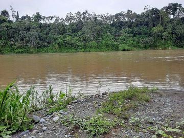 SE VENDE HACIENDA AGRICOLA EN PRODUCCIÓN 200 HAS. Y MINA DE MATERRIAL PETREO DE RÍO,  MALIMPIA – QUININDÉ – ESMERALDAS - ECUADOR