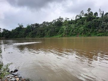 SE VENDE HACIENDA AGRICOLA EN PRODUCCIÓN 200 HAS. Y MINA DE MATERRIAL PETREO DE RÍO,  MALIMPIA – QUININDÉ – ESMERALDAS - ECUADOR
