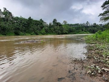 SE VENDE HACIENDA AGRICOLA EN PRODUCCIÓN 200 HAS. Y MINA DE MATERRIAL PETREO DE RÍO,  MALIMPIA – QUININDÉ – ESMERALDAS - ECUADOR
