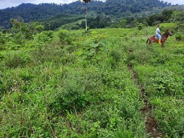 SE VENDE HACIENDA AGRICOLA EN PRODUCCIÓN 200 HAS. Y MINA DE MATERRIAL PETREO DE RÍO,  MALIMPIA – QUININDÉ – ESMERALDAS - ECUADOR