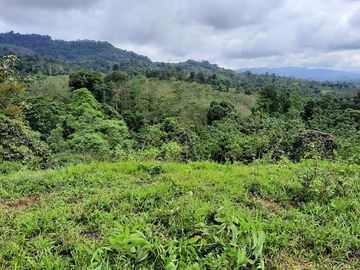 SE VENDE HACIENDA AGRICOLA EN PRODUCCIÓN 200 HAS. Y MINA DE MATERRIAL PETREO DE RÍO,  MALIMPIA – QUININDÉ – ESMERALDAS - ECUADOR