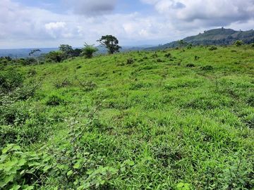 SE VENDE HACIENDA AGRICOLA EN PRODUCCIÓN 200 HAS. Y MINA DE MATERRIAL PETREO DE RÍO,  MALIMPIA – QUININDÉ – ESMERALDAS - ECUADOR