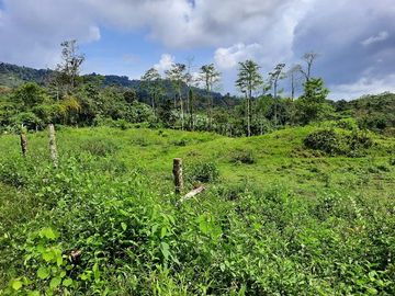 SE VENDE HACIENDA AGRICOLA EN PRODUCCIÓN 200 HAS. Y MINA DE MATERRIAL PETREO DE RÍO,  MALIMPIA – QUININDÉ – ESMERALDAS - ECUADOR