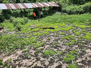 SE VENDE HACIENDA AGRICOLA EN PRODUCCIÓN 200 HAS. Y MINA DE MATERRIAL PETREO DE RÍO,  MALIMPIA – QUININDÉ – ESMERALDAS - ECUADOR