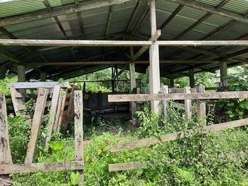 SE VENDE HACIENDA AGRICOLA EN PRODUCCIÓN 200 HAS. Y MINA DE MATERRIAL PETREO DE RÍO,  MALIMPIA – QUININDÉ – ESMERALDAS - ECUADOR