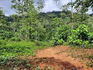 SE VENDE HACIENDA AGRICOLA EN PRODUCCIÓN 200 HAS. Y MINA DE MATERRIAL PETREO DE RÍO,  MALIMPIA – QUININDÉ – ESMERALDAS - ECUADOR