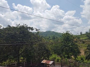 SE VENDE DE OPORTUNIDAD HACIENDA GANADERA 508 HAS. QUININDÉ – ESMERALDAS - ECUADOR