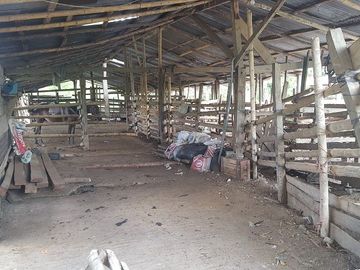 SE VENDE DE OPORTUNIDAD HACIENDA GANADERA 508 HAS. QUININDÉ – ESMERALDAS - ECUADOR
