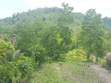 SE VENDE DE OPORTUNIDAD HACIENDA GANADERA 508 HAS. QUININDÉ – ESMERALDAS - ECUADOR