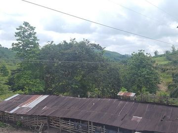 SE VENDE DE OPORTUNIDAD HACIENDA GANADERA 508 HAS. QUININDÉ – ESMERALDAS - ECUADOR