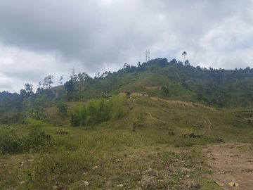SE VENDE DE OPORTUNIDAD HACIENDA GANADERA 508 HAS. QUININDÉ – ESMERALDAS - ECUADOR