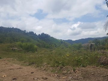 SE VENDE DE OPORTUNIDAD HACIENDA GANADERA 508 HAS. QUININDÉ – ESMERALDAS - ECUADOR