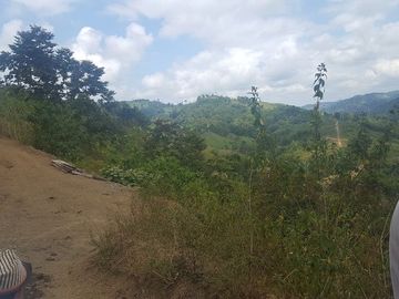 SE VENDE DE OPORTUNIDAD HACIENDA GANADERA 508 HAS. QUININDÉ – ESMERALDAS - ECUADOR