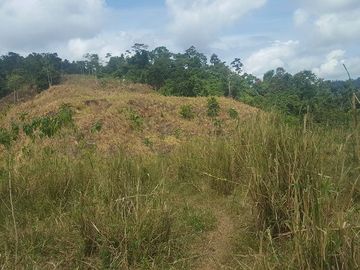 SE VENDE DE OPORTUNIDAD HACIENDA GANADERA 508 HAS. QUININDÉ – ESMERALDAS - ECUADOR