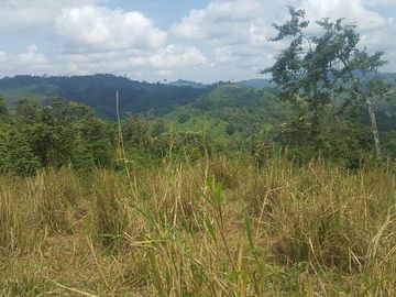 SE VENDE DE OPORTUNIDAD HACIENDA GANADERA 508 HAS. QUININDÉ – ESMERALDAS - ECUADOR