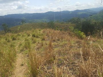 SE VENDE DE OPORTUNIDAD HACIENDA GANADERA 508 HAS. QUININDÉ – ESMERALDAS - ECUADOR