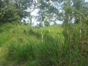 SE VENDE DE OPORTUNIDAD HACIENDA GANADERA 508 HAS. QUININDÉ – ESMERALDAS - ECUADOR